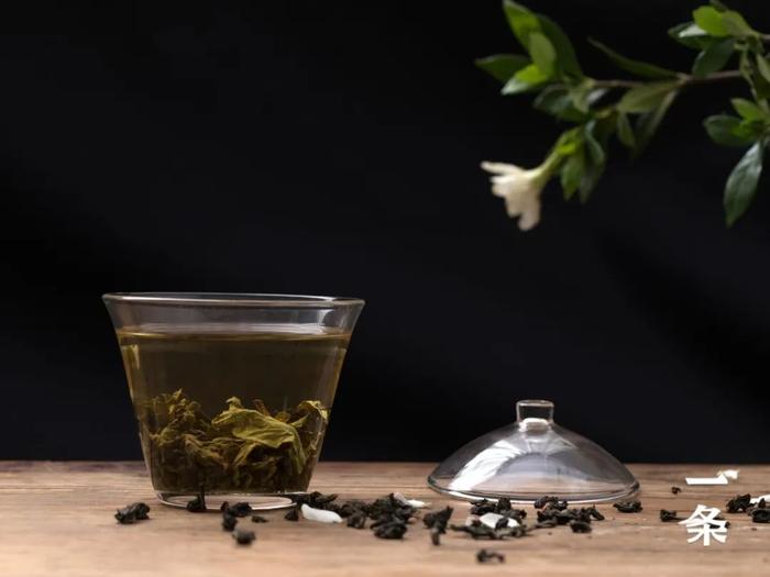市面难得一见的栀子乌龙茶，手工古法窨制，有花香、奶香、蜜香……