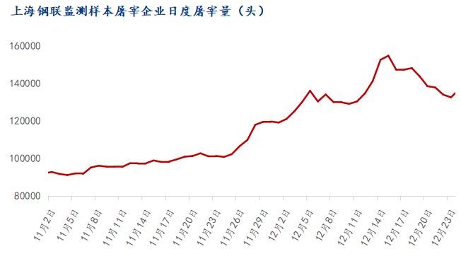 12月猪价下跌40%！今年即将收尾，2023年开局即赚钱？