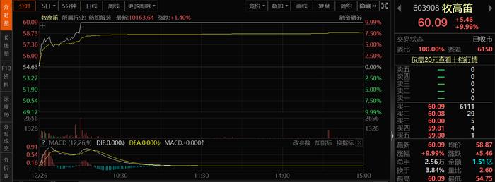 露营经济打开万亿市场！龙头股强势涨停，产业链上市公司一览