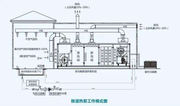 广东威浪仕除湿热泵展示多维特性，契合学校室内泳池更高健康诉求