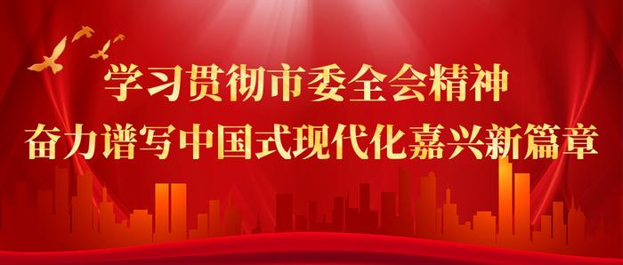 加快建设开放型城市，未来5年嘉兴怎么干？