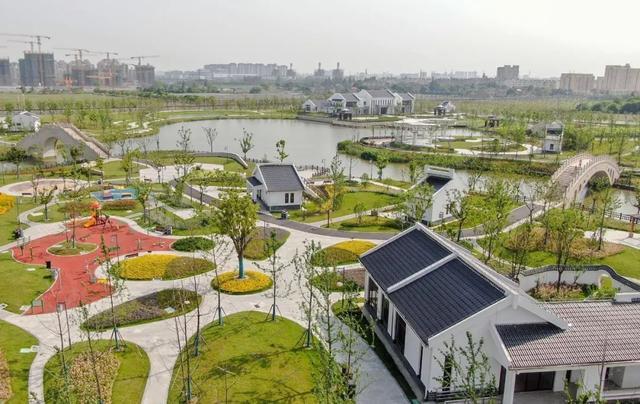 专访丨奉贤新城建筑设计总顾问 李翔宁：探索更美“自然建造” 森林城市变优雅