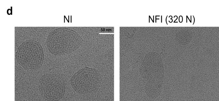 全球首创无针注射方式接种新冠mRNA-LNP疫苗，为新冠病毒预防提供新思路