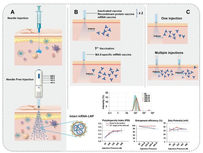 全球首创无针注射方式接种新冠mRNA-LNP疫苗，为新冠病毒预防提供新思路