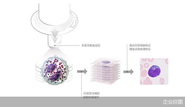 历时近一年 迈瑞医疗承办的“形者无疆·2022全国临床检验形态学论坛”收官