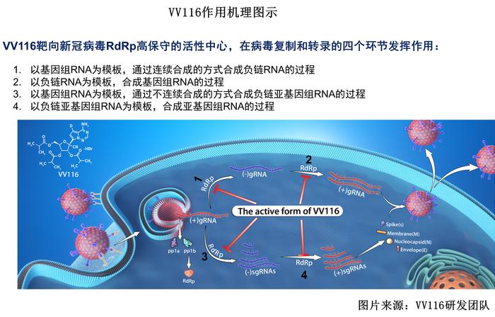 专家解读：PAXLOVID、VV116等抗新冠口服药有什么不同？