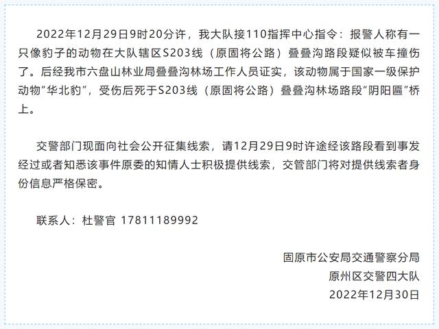 宁夏固原一华北豹受伤后死亡，警方：征集线索，如果是被车撞的，肇事者将受到法律制裁