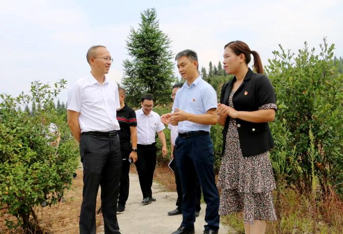 【走进乡村看振兴】 从脱贫攻坚到乡村振兴，他前行的脚步越来越坚定