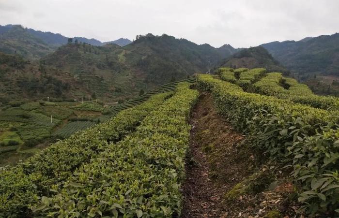 生物多样性优秀案例（27）：湖南省湘西土家族苗族自治州探索生物多样性保护立法