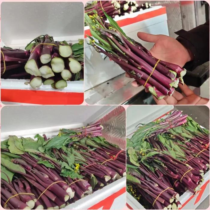 申城蔬菜批发价格呈现季节性调整：小米椒触底，散花菜价格走高