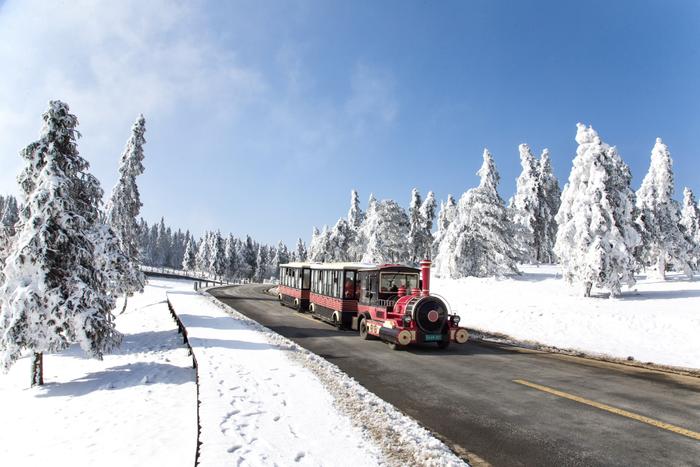 重庆文旅复苏·冰雪篇｜假期掀起“玩雪热” 金佛山、仙女山、南天湖景区人气爆满