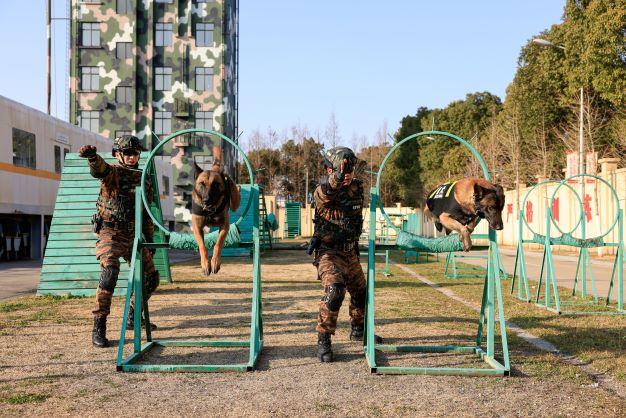 图说│训令如铁，号角催征，武警新年度训练火热开场