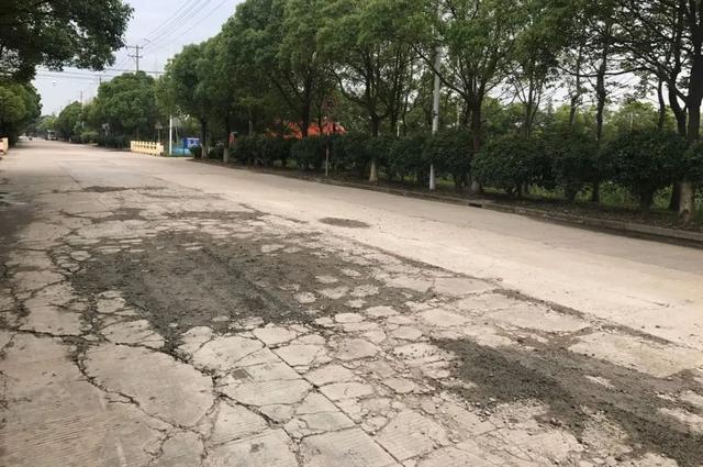 条条都是风景线！奉贤这里的乡村道路提档升级啦