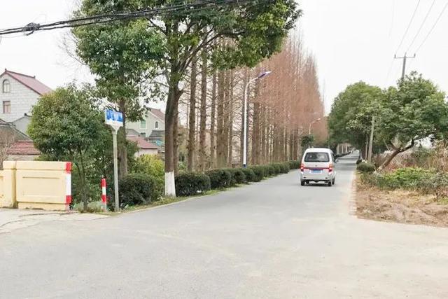 条条都是风景线！奉贤这里的乡村道路提档升级啦