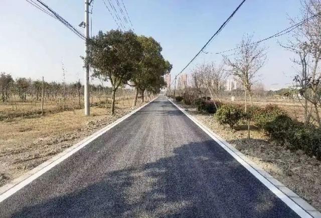 条条都是风景线！奉贤这里的乡村道路提档升级啦