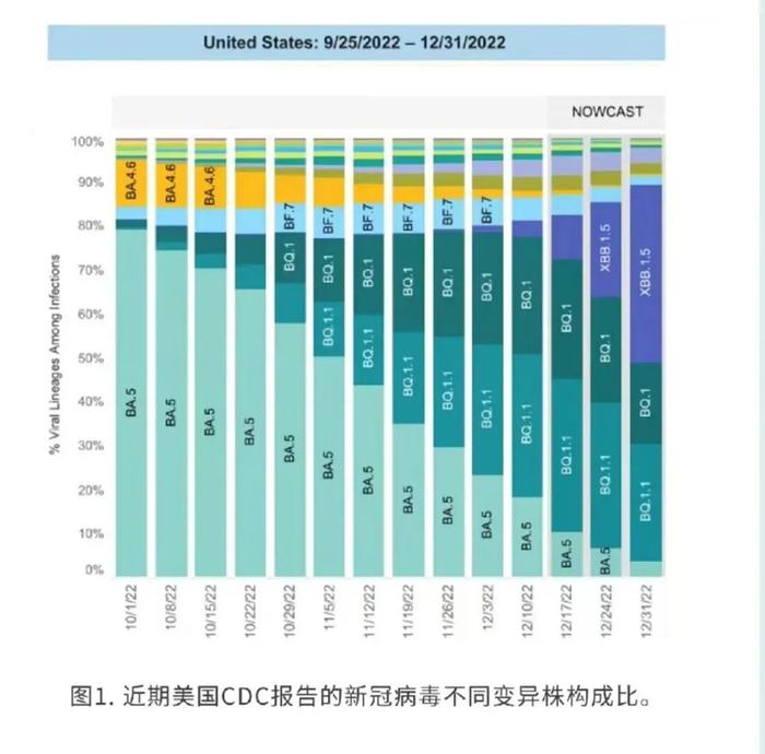 感染XBB.1.5，真的会大便失禁吗？