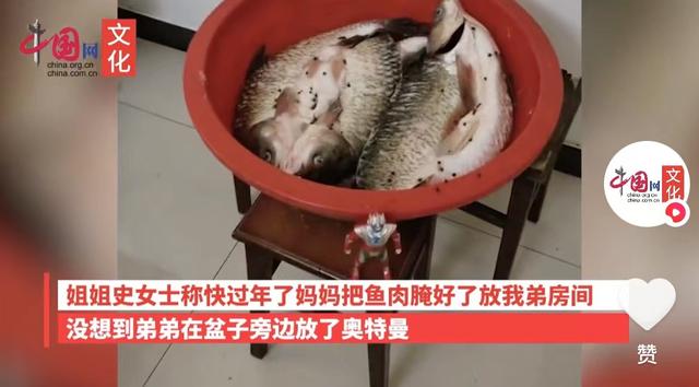 妈妈腌肉10岁男孩放3奥特曼守护，姐姐：“快笑疯了”