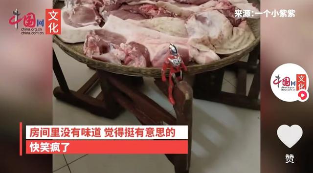 妈妈腌肉10岁男孩放3奥特曼守护，姐姐：“快笑疯了”