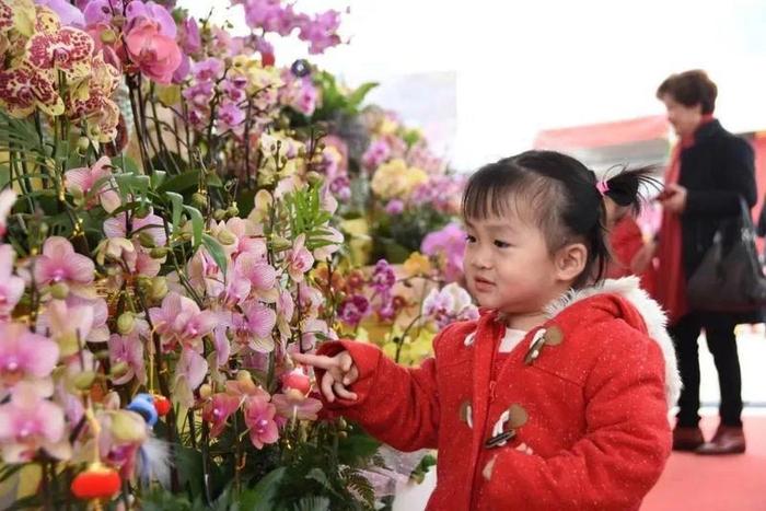 行花街的快乐回来了！顺德十镇街花市安排出炉，约吗？