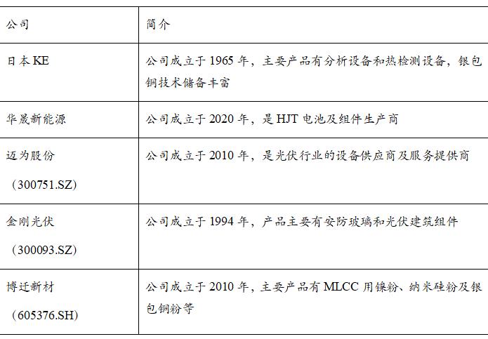 TOPCon、HJT电池降本关键材料！光伏银浆未来需求量近5000吨，产业链上市公司梳理