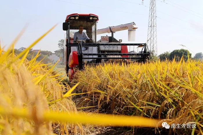 全球粮食产量在2022年预计降至27.56亿吨，缩减2%