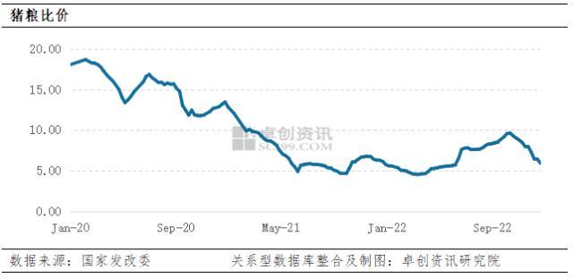 粮食：价格下降趋势明显 未来仍需关注成本及需求端的改善