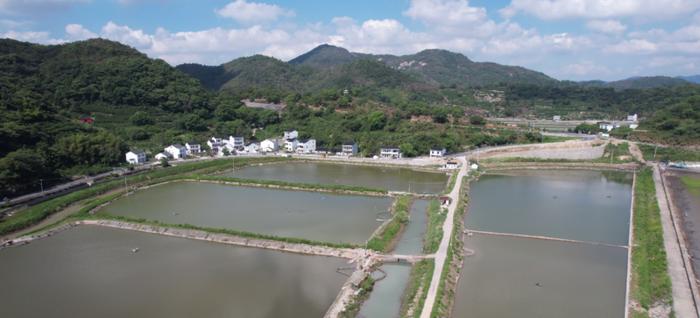 斯维登集团携手象山县鹤浦镇打造“渔村主题度假村·海岛民宿度假地”