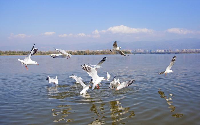 游邛海、晒太阳、逛古城、吃烧烤……西昌邀你共赴一场阳光之旅｜春节趣玩四川2