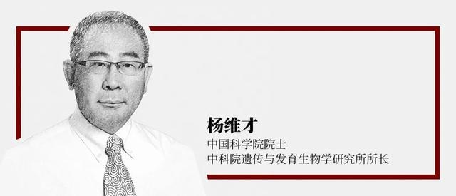 中国科学院院士杨维才：一起开展酒业种子创新