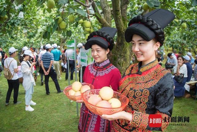 四川攀枝花市米易县委书记蔡君：为高质量发展建设共同富裕试验区探索路径、贡献力量