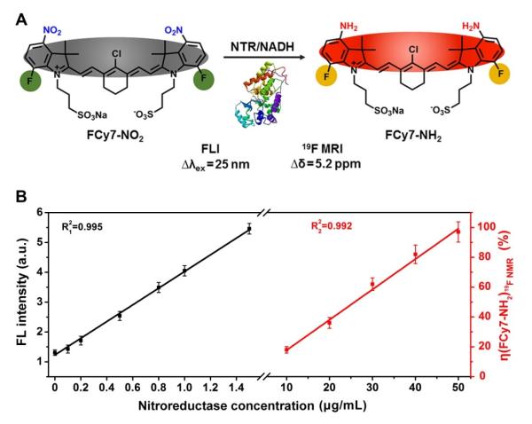 科学家利用F-19 MRI双模态探针实现肺癌中硝基还原酶的精准活体成像