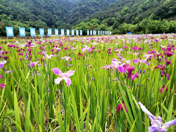 全国最大垃圾填埋场生态修复工程全面竣工 中铁十七局承建