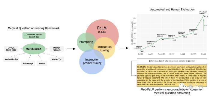 史上AI最高分！谷歌大模型创美国医师执照试题新纪录，科学常识水平媲美人类医生 | GGView