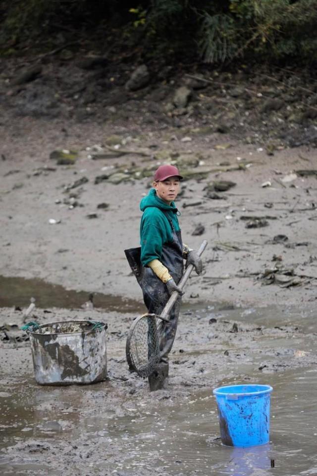 《大湾仔的夜2》大湾仔泥地抓鱼笑果拉满 陈小春捕到30斤鱼王