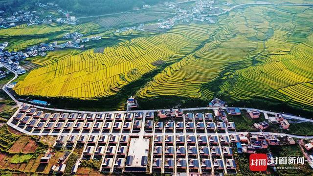 解读“天府第二粮仓” 四川省人大代表、凉山州委副书记范继跃：“让每一寸土地都种出最好的农产品”｜封面会客厅