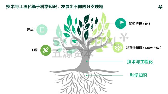 五源刘芹：正在发轫的新周期