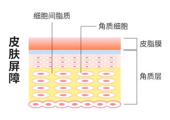 修复皮肤屏障利器 里程碑式创新成果TaKuMin面世