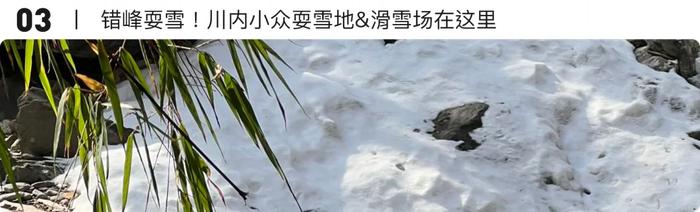 新春打卡推荐!到成都这些地方“兔”个好运