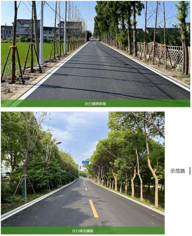 一路好风景！奉贤这些地方入选上海“四好农村路”示范镇、示范路名单啦！