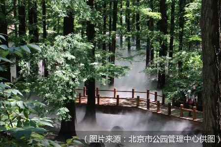 16个网红打卡地、3条精品游览路线 北京市属公园发布春节游园攻略