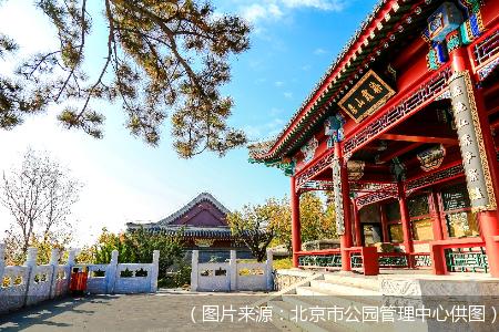 16个网红打卡地、3条精品游览路线 北京市属公园发布春节游园攻略