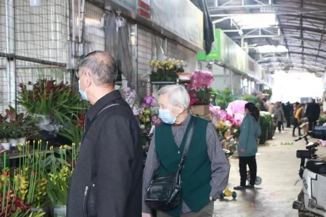 年花低至五元、接驳车增开班次！芳村岭南花卉市场生意旺