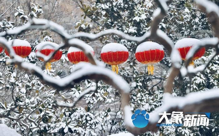 今天你玩雪了吗？ 郑州迎来2023年第一场降雪