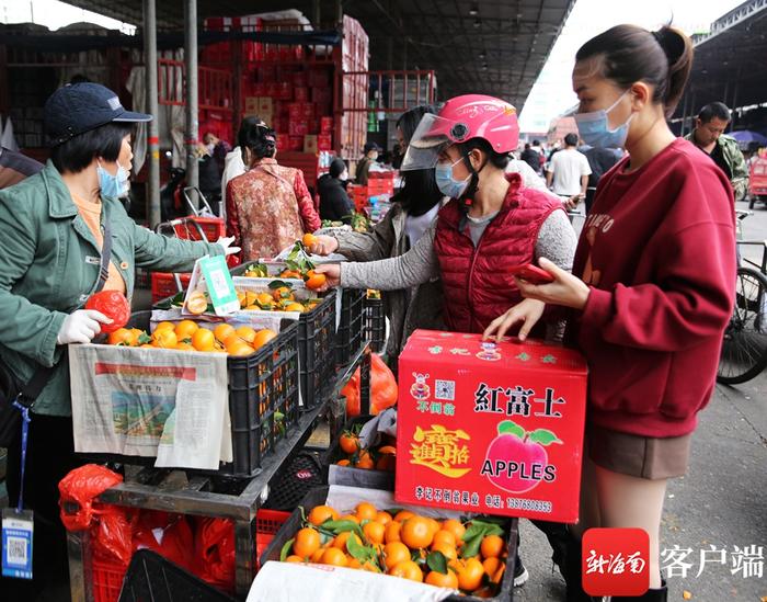 春节临近 海口南北水果批发市场桔子、橙子、苹果供销“两旺”