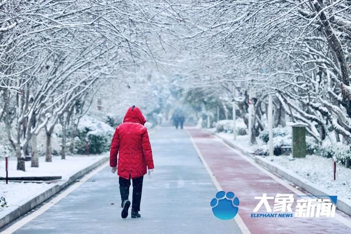 今天你玩雪了吗？ 郑州迎来2023年第一场降雪