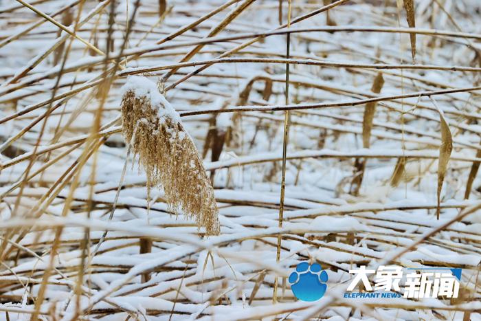 今天你玩雪了吗？ 郑州迎来2023年第一场降雪