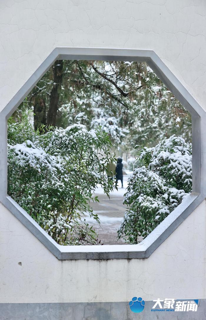 今天你玩雪了吗？ 郑州迎来2023年第一场降雪