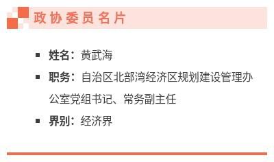 黄武海委员谈高水平共建西部陆海新通道：大力推动北部湾国际门户港实现“六个升级” ｜广西云访谈间