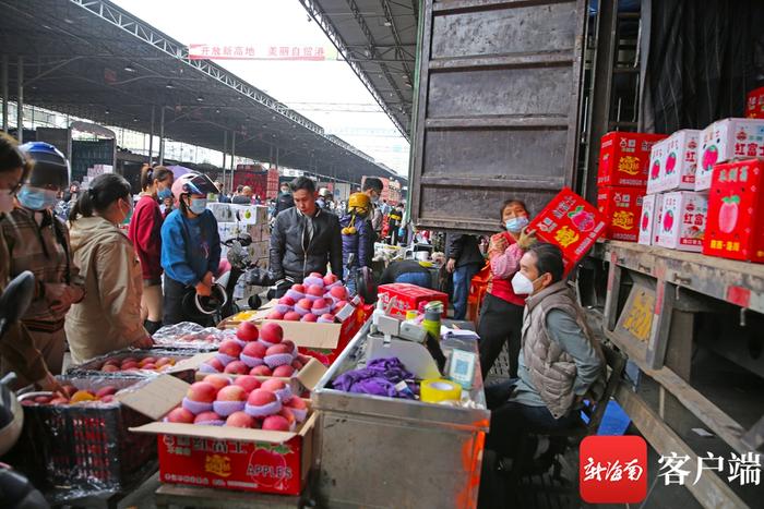 春节临近 海口南北水果批发市场桔子、橙子、苹果供销“两旺”