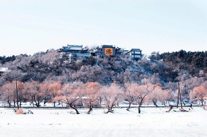 小猪民宿：去飘雪的地方—吉林旅游地推荐